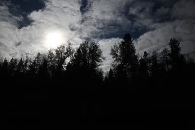 DSC_0221 (Large).JPG